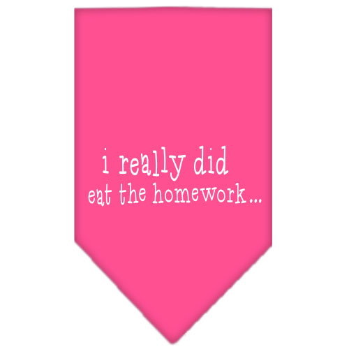 I really did eat the Homework Screen Print Bandana Bright Pink Small